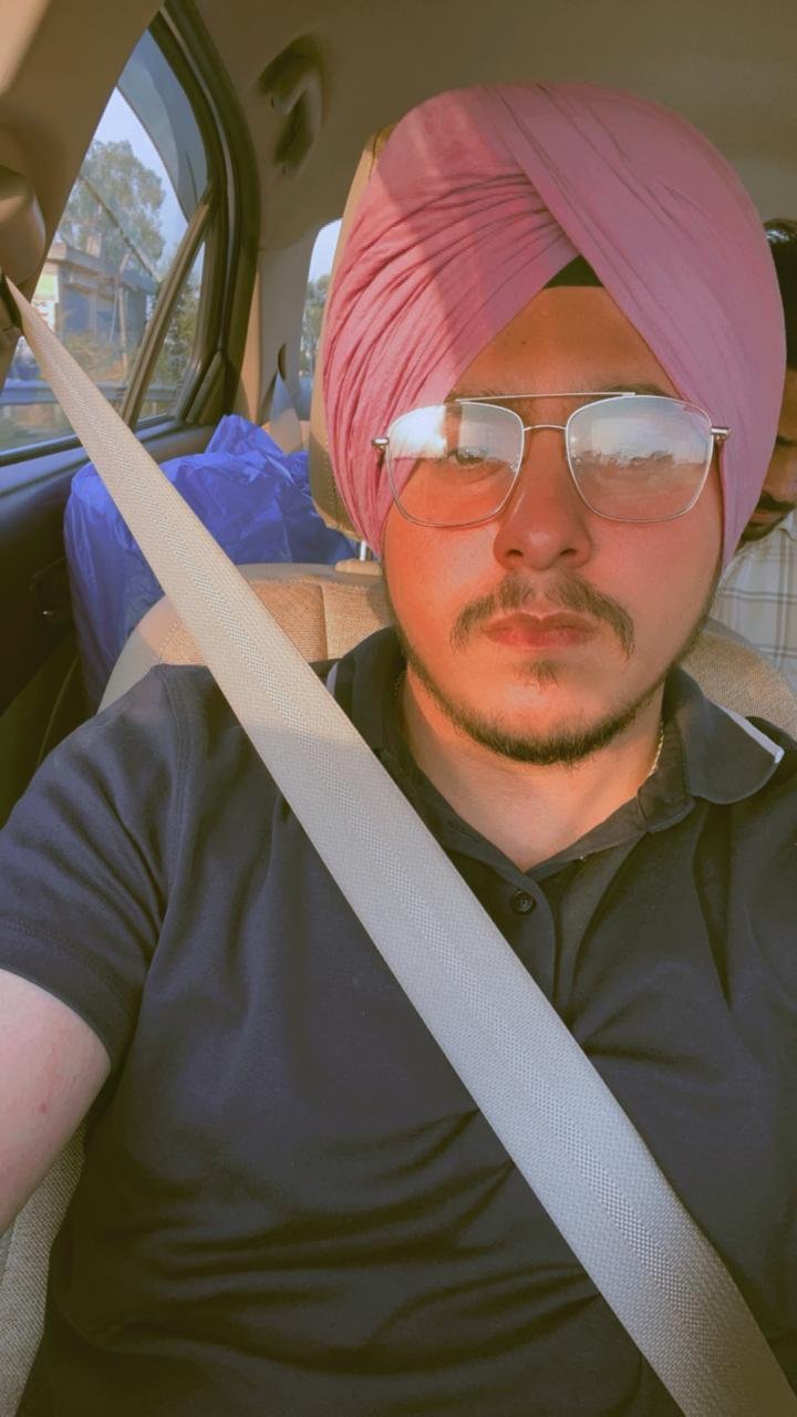 Pavneet Singh - SEO Analyst